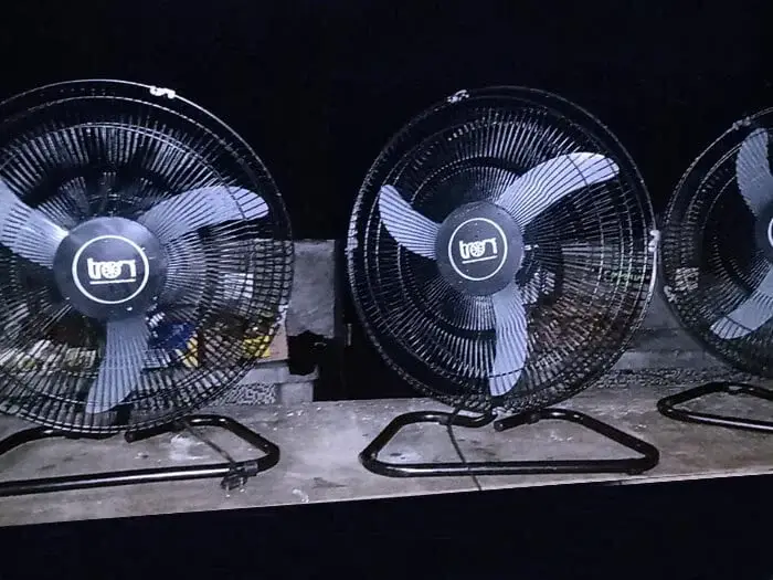 Aluguel Ventiladores de Chão